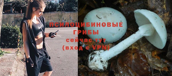 дживик Алзамай